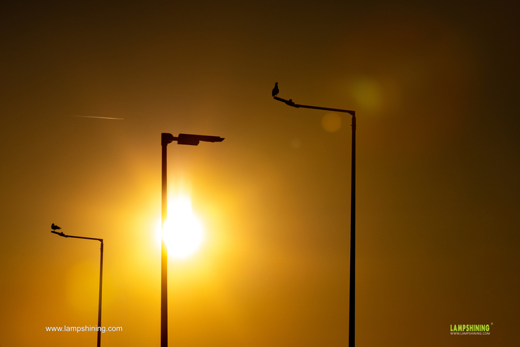 Road lighting case in Europe - Pluto led street lights