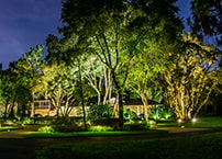 LED FloodLight and Spotlight: Which is Better Right for landscape lighting?