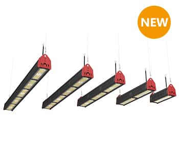 Linear LED High Bay Light