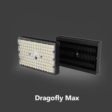 Dragonfly Max Module Light