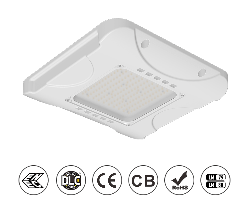 100W LED Canopy Light 