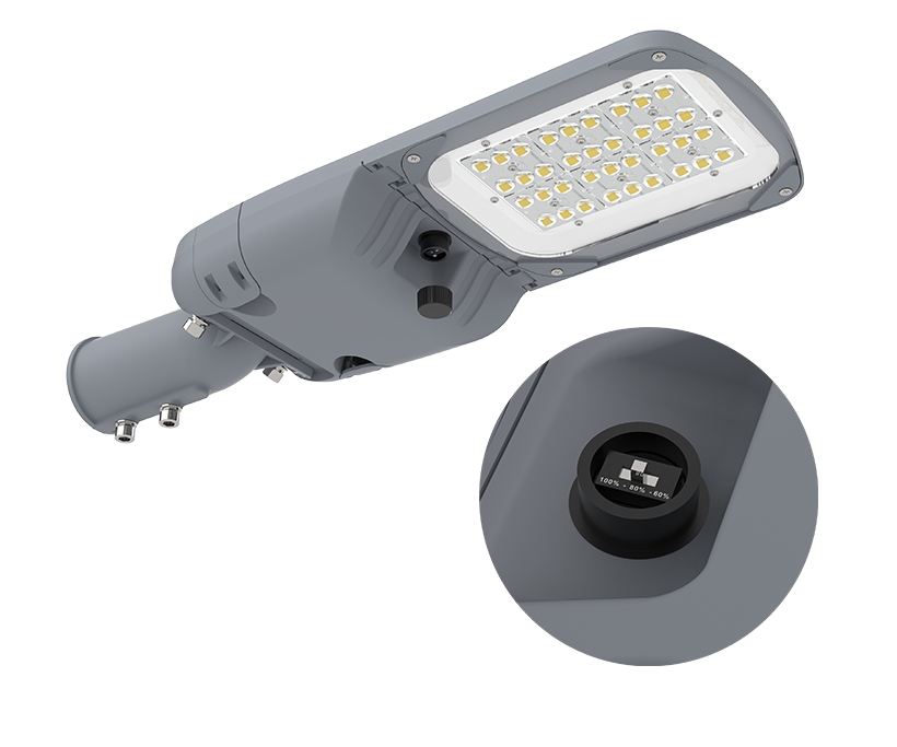 Optional Wattages Adjustable 