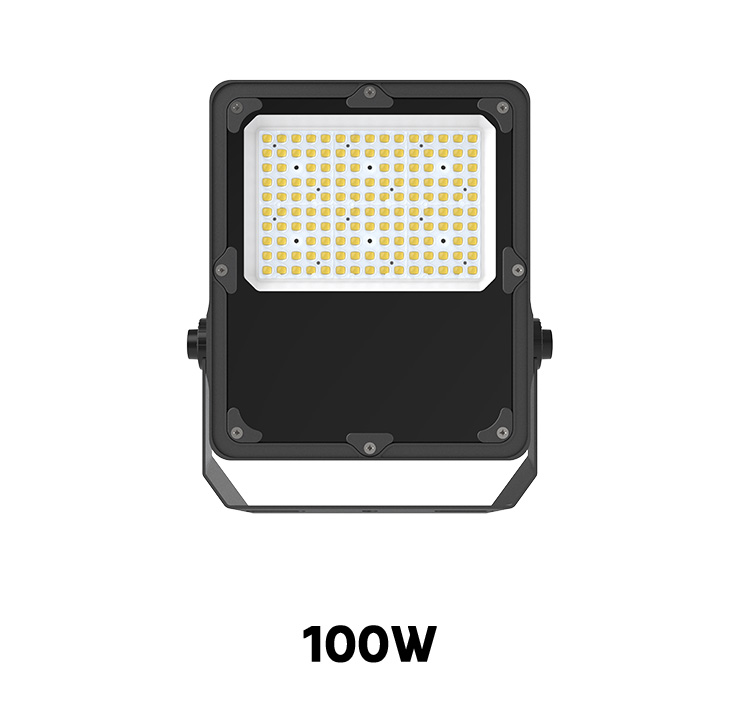 Cara led flood light 100W