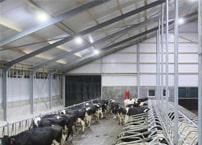 LED High Bay Animal Husbandry Lighting