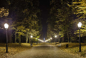 60W LED Corn Bulbs for Park lighting in Croatia